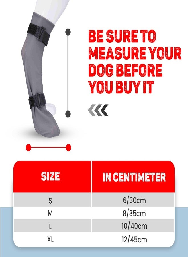 Trixie: - Protective Sock for Pets | Keeps Wounds and Dressings Dry and Clean | Made with Silicone, Flexible Material Maintains Freedom of Movement - Large (10cm/40cm), Grey - Image 5